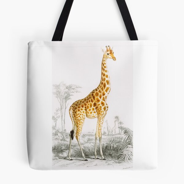 Aperçu de l'œuvre Girafe créée et vendue par UselessTs.