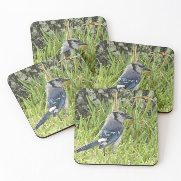 Item preview, Blue Jay After the Rain designed and sold by Birds-by-Bovi.