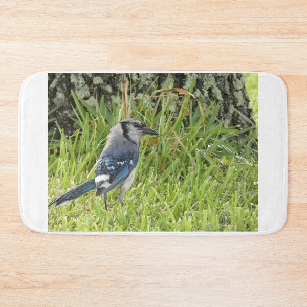 Item preview, Blue Jay After the Rain designed and sold by Birds-by-Bovi.