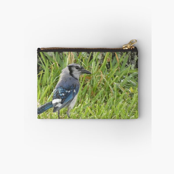 Item preview, Blue Jay After the Rain designed and sold by Birds-by-Bovi.