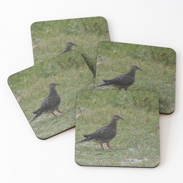 Item preview, Wet Dove designed and sold by Birds-by-Bovi.