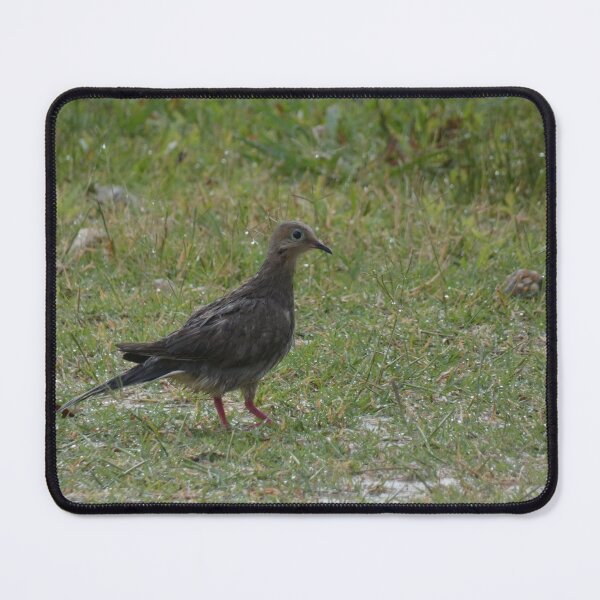Item preview, Wet Dove designed and sold by Birds-by-Bovi.