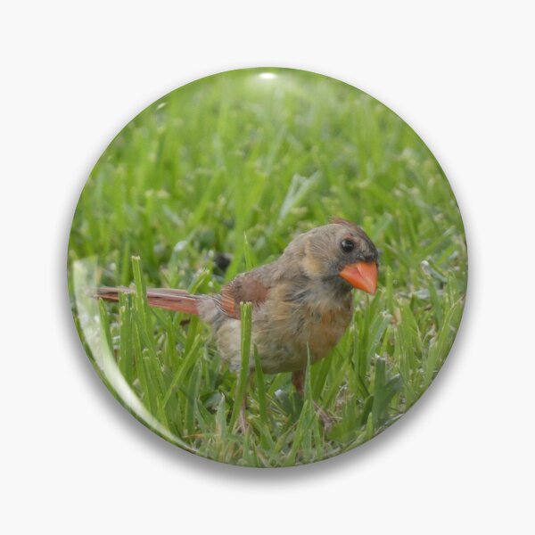 Item preview, Cardinal, Damp Edition designed and sold by Birds-by-Bovi.