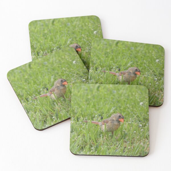 Item preview, Cardinal, Damp Edition designed and sold by Birds-by-Bovi.