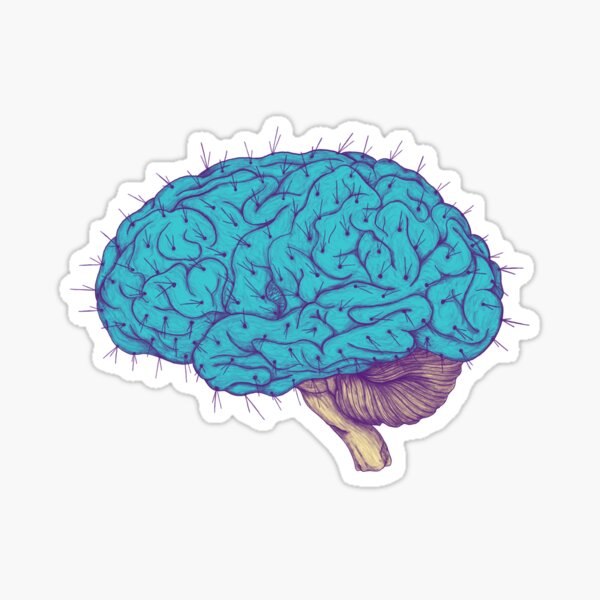 Succulent Mind Sticker