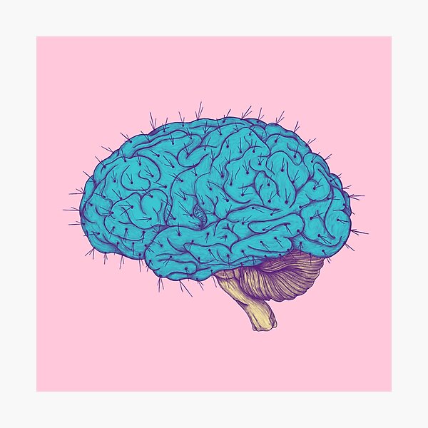 Succulent Mind Photographic Print