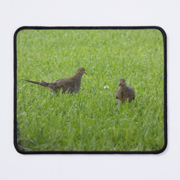 Item preview, Two Doves designed and sold by Birds-by-Bovi.