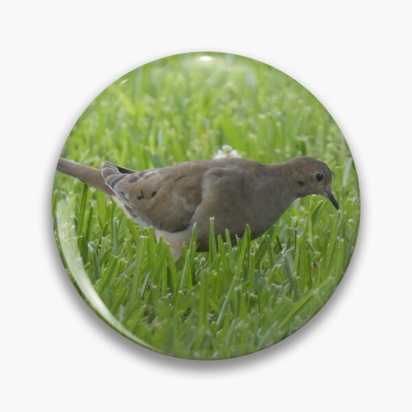Item preview, Foraging Dove designed and sold by Birds-by-Bovi.