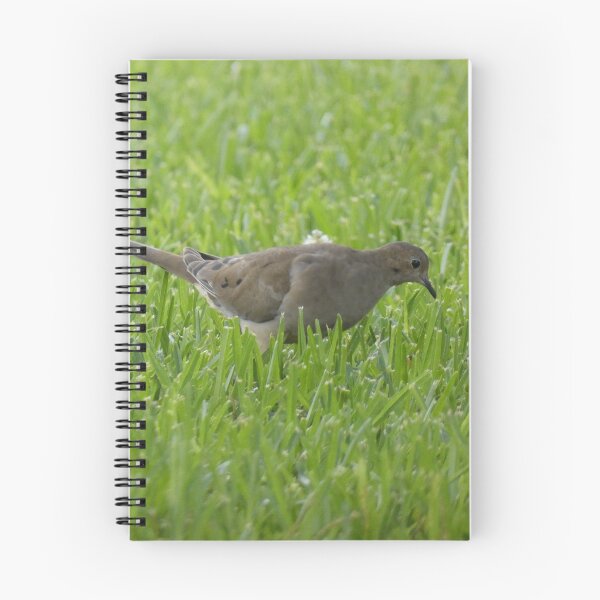 Item preview, Foraging Dove designed and sold by Birds-by-Bovi.