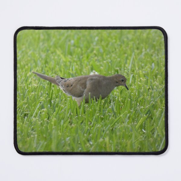 Item preview, Foraging Dove designed and sold by Birds-by-Bovi.