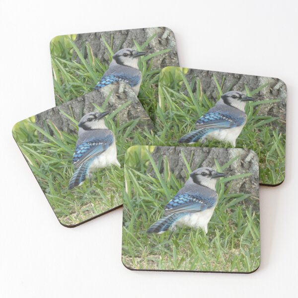 Item preview, Blue Jay in the Grass designed and sold by Birds-by-Bovi.