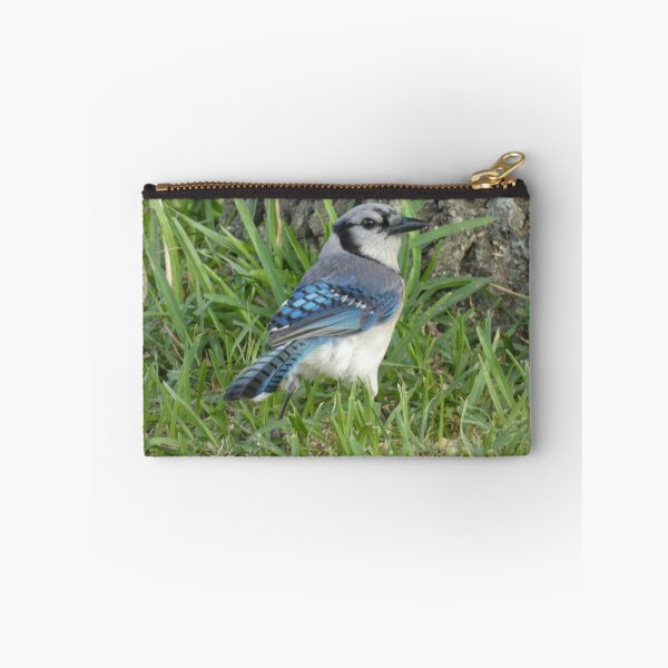 Item preview, Blue Jay in the Grass designed and sold by Birds-by-Bovi.