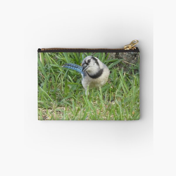 Item preview, Inquisitive Jay designed and sold by Birds-by-Bovi.