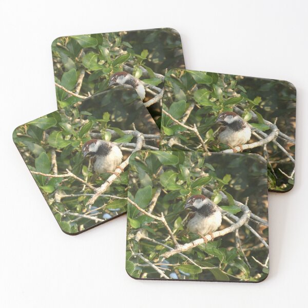 Item preview, Summertime Sparrow designed and sold by Birds-by-Bovi.
