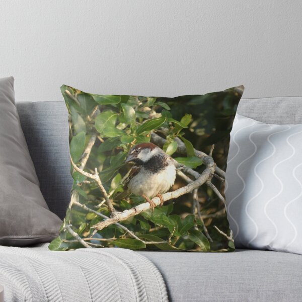 Item preview, Summertime Sparrow designed and sold by Birds-by-Bovi.