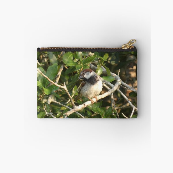Item preview, Summertime Sparrow designed and sold by Birds-by-Bovi.