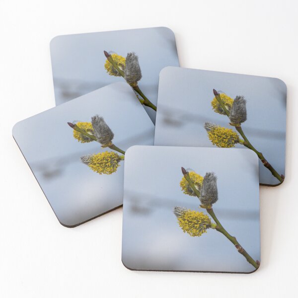 Item preview, The first willow males catkins of this year! designed and sold by jchanders.