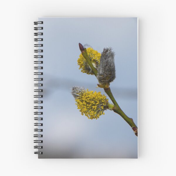 Item preview, The first willow males catkins of this year! designed and sold by jchanders.