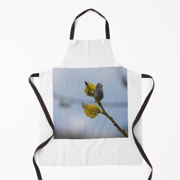Item preview, The first willow males catkins of this year! designed and sold by jchanders.
