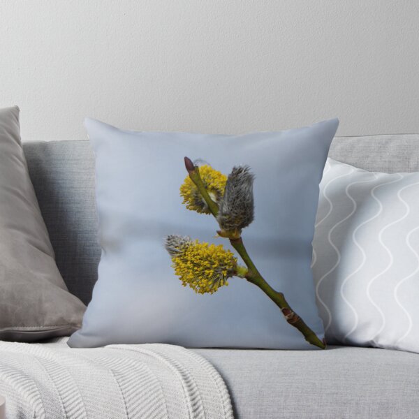 Item preview, The first willow males catkins of this year! designed and sold by jchanders.
