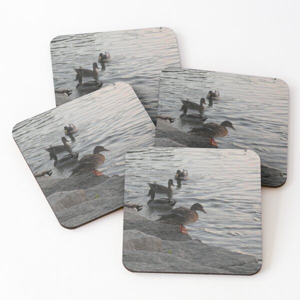 Item preview, Duck Bath designed and sold by Birds-by-Bovi.