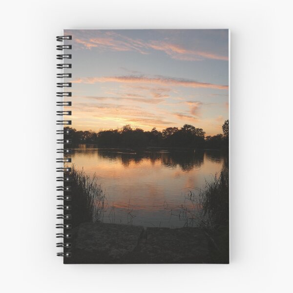 Item preview, Sundown at Humboldt Park designed and sold by Birds-by-Bovi.