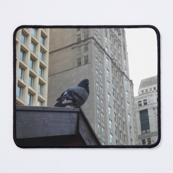 Item preview, City Bird designed and sold by Birds-by-Bovi.
