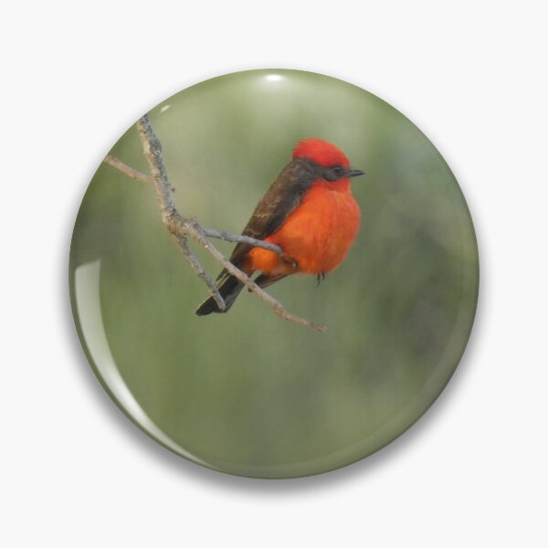 Item preview, Vermillion Flycatcher designed and sold by Birds-by-Bovi.