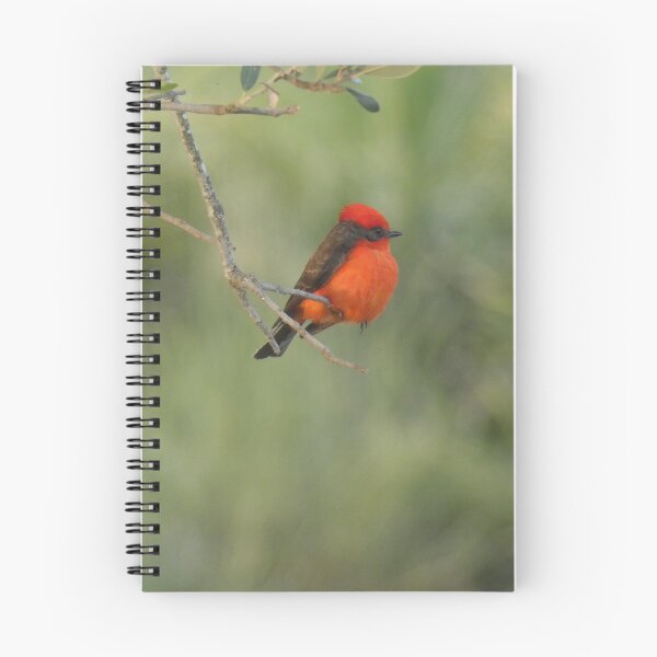 Item preview, Vermillion Flycatcher designed and sold by Birds-by-Bovi.