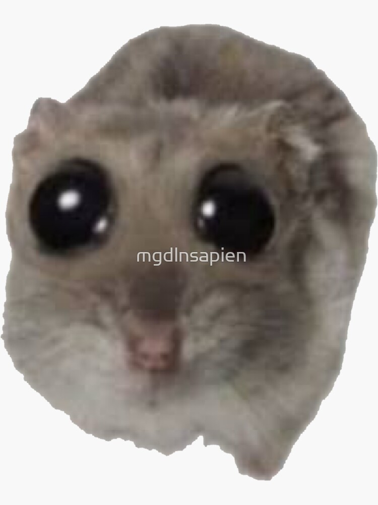 "sad hampter hamster meme" Sticker for Sale by mgdlnsapien Redbubble