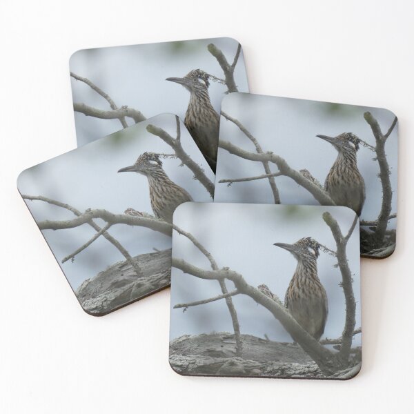 Item preview, Roadrunner in a Tree designed and sold by Birds-by-Bovi.
