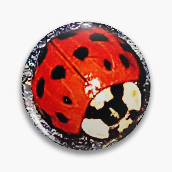 Item preview, Ladybug designed and sold by AngelMQ.