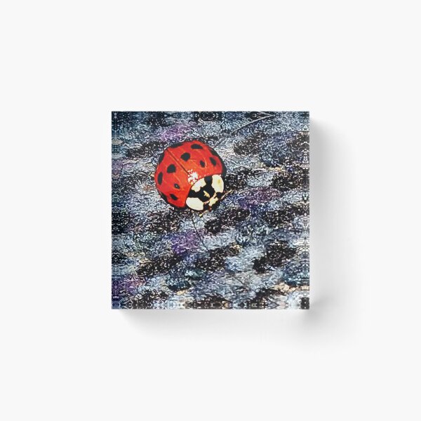 Item preview, Ladybug designed and sold by AngelMQ.