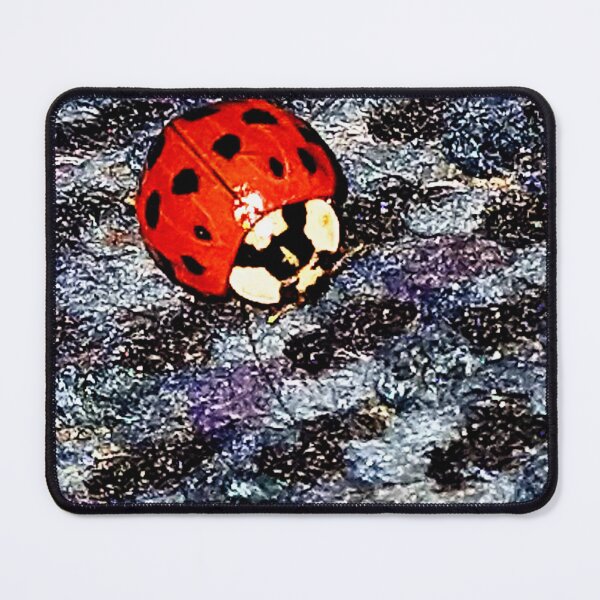 Item preview, Ladybug designed and sold by AngelMQ.