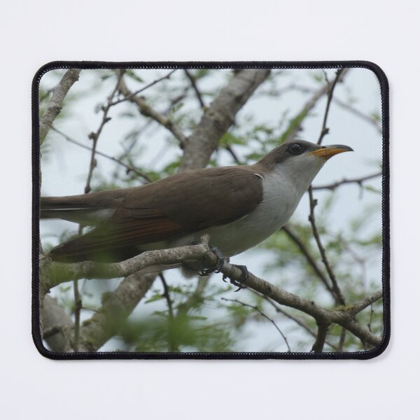 Item preview, Cuckoo! designed and sold by Birds-by-Bovi.