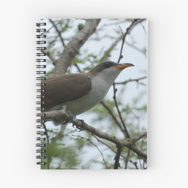 Item preview, Cuckoo! designed and sold by Birds-by-Bovi.