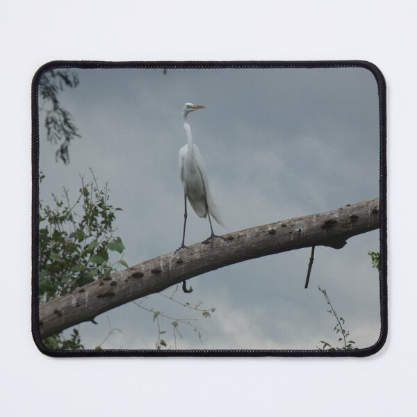 Item preview, Egret on a Stormy Day designed and sold by Birds-by-Bovi.