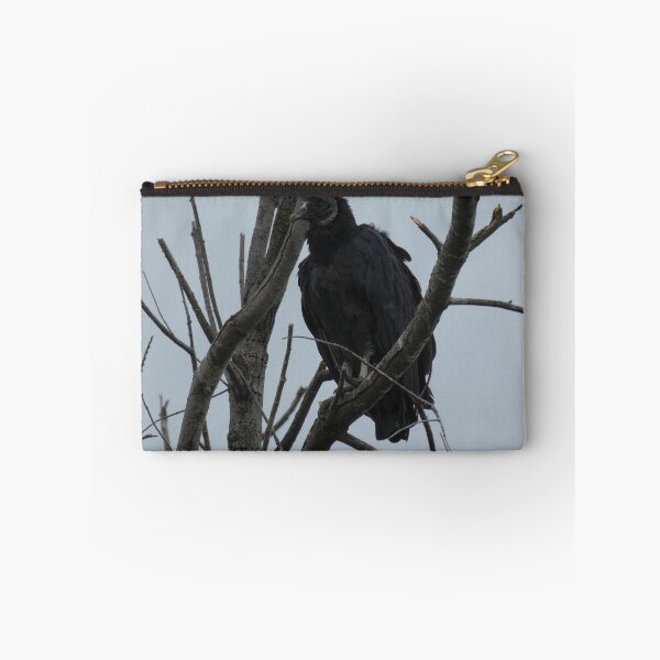 Artikelvorschau, Mönchsgeier in einem Baum entworfen und verkauft von Birds-by-Bovi.