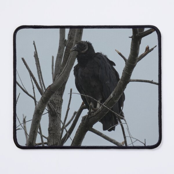 Item preview, Black Vulture in a Tree designed and sold by Birds-by-Bovi.
