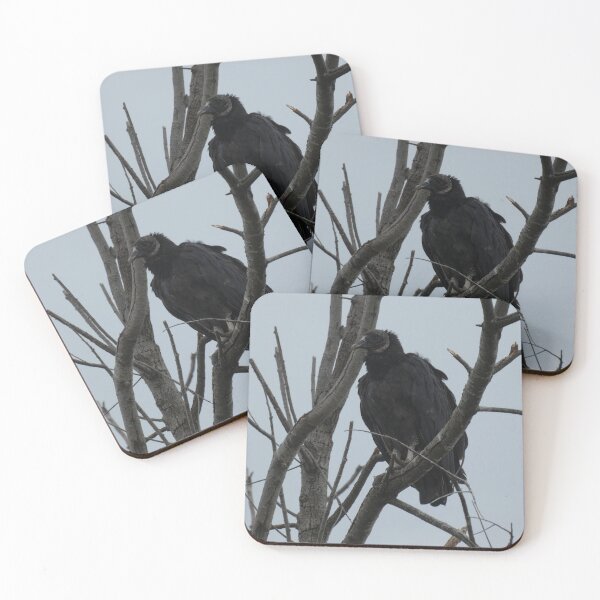 Item preview, Black Vulture in a Tree designed and sold by Birds-by-Bovi.