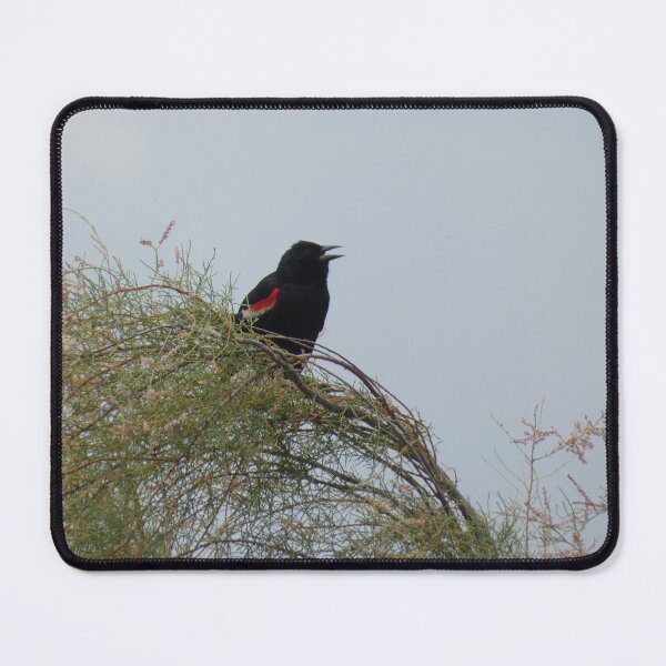 Item preview, Red-winged Blackbird designed and sold by Birds-by-Bovi.