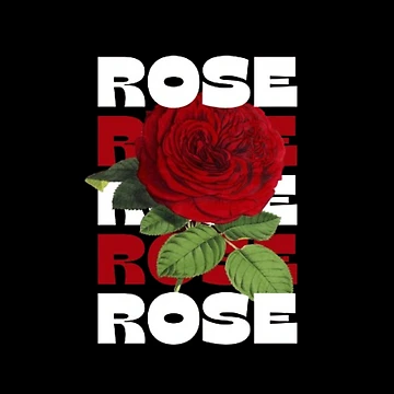 Imagen de la obra ROSA ROSA ROSA de StylesVero