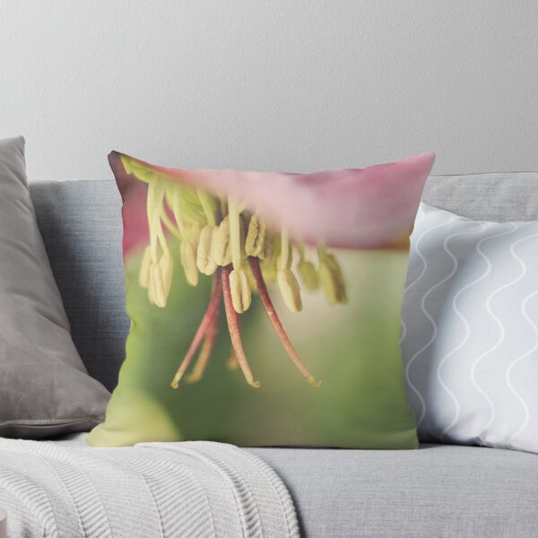 Item preview, Coy designed and sold by Tracy Friesen.
