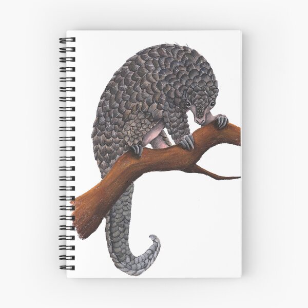 Item preview, Javanese pangolin designed and sold by Chouetteplanete.