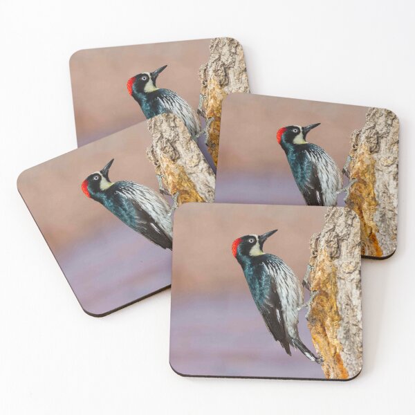 Item preview, Female Acorn Woodpecker designed and sold by Jeff Goulden Photography.