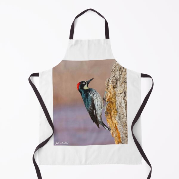 Item preview, Female Acorn Woodpecker designed and sold by Jeff Goulden Photography.