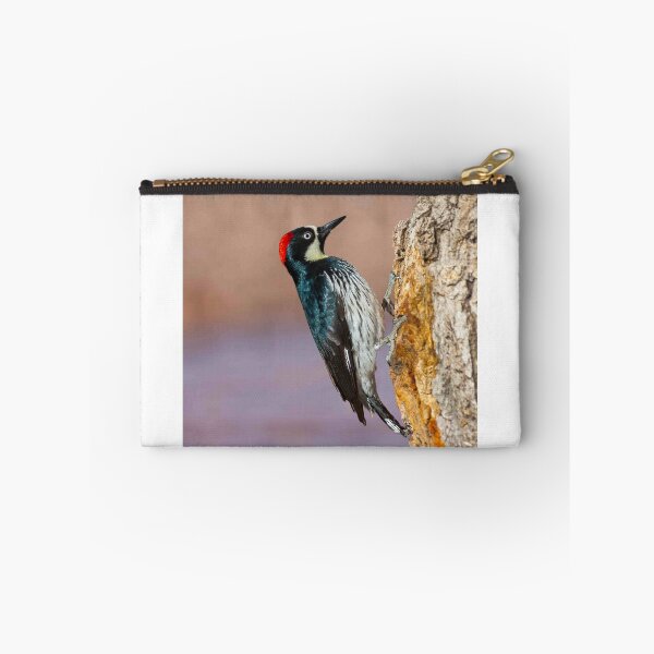 Item preview, Female Acorn Woodpecker designed and sold by Jeff Goulden Photography.