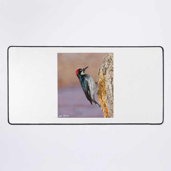 Item preview, Female Acorn Woodpecker designed and sold by Jeff Goulden Photography.