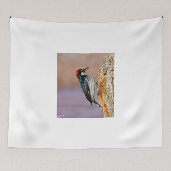 Item preview, Female Acorn Woodpecker designed and sold by Jeff Goulden Photography.