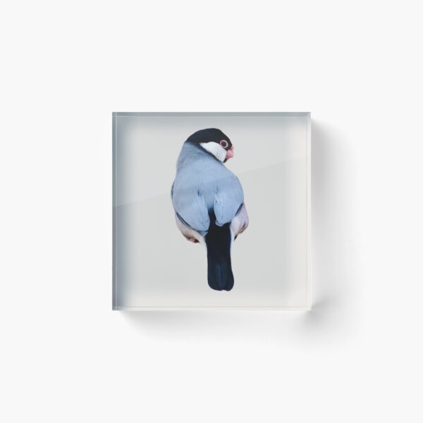 Item preview, Java Sparrow designed and sold by RainbowSpinkle.